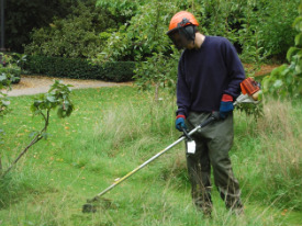 lawn_mowing_london